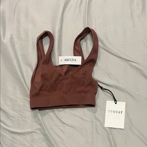 Aritzia Sunday Best Chocolate Ribbed Bralette